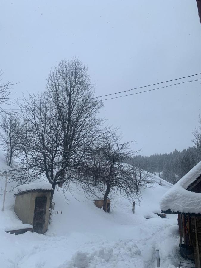 Cottage house Podobovets Bagian luar foto