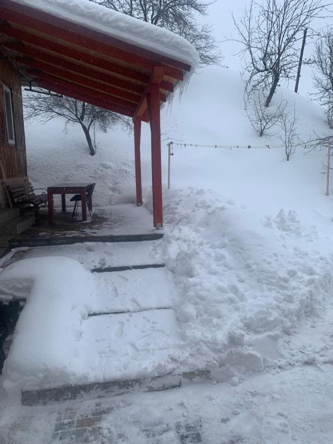 Cottage house Podobovets Bagian luar foto
