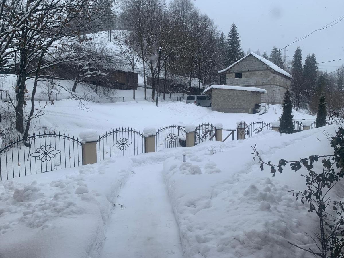 Cottage house Podobovets Bagian luar foto